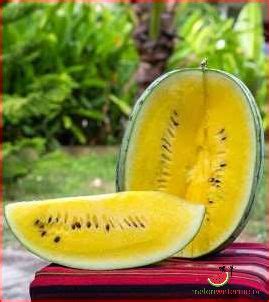Understanding The Truth Behind Yellow Spotted .